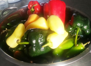 Gueros, Bells, Poblanos and Jalapenos