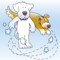 Dogs and Cats