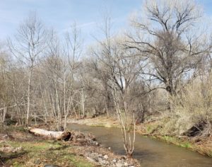 oak creek after a small flood